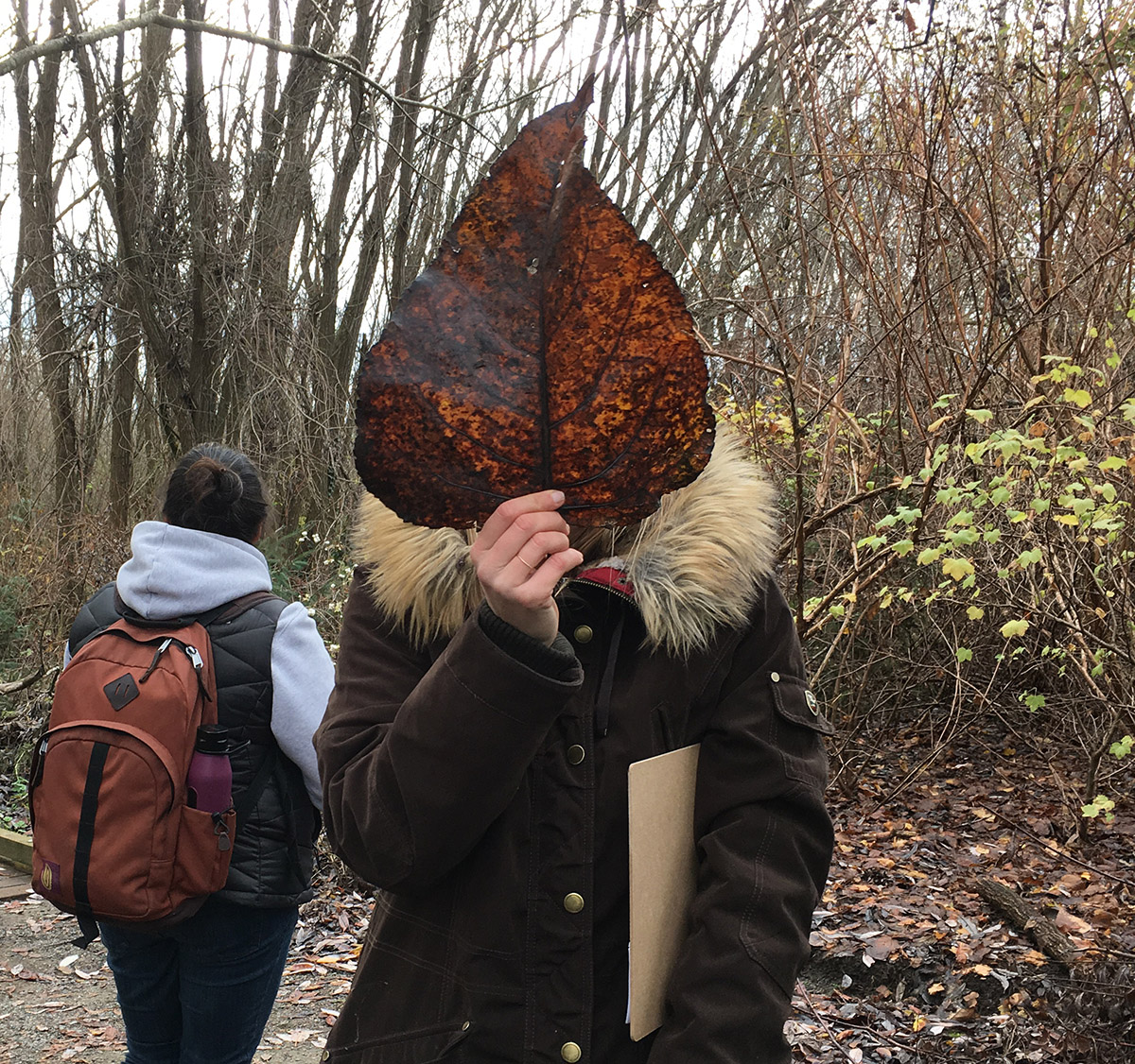 A person outdoors holds a big brown leaf in front of their head