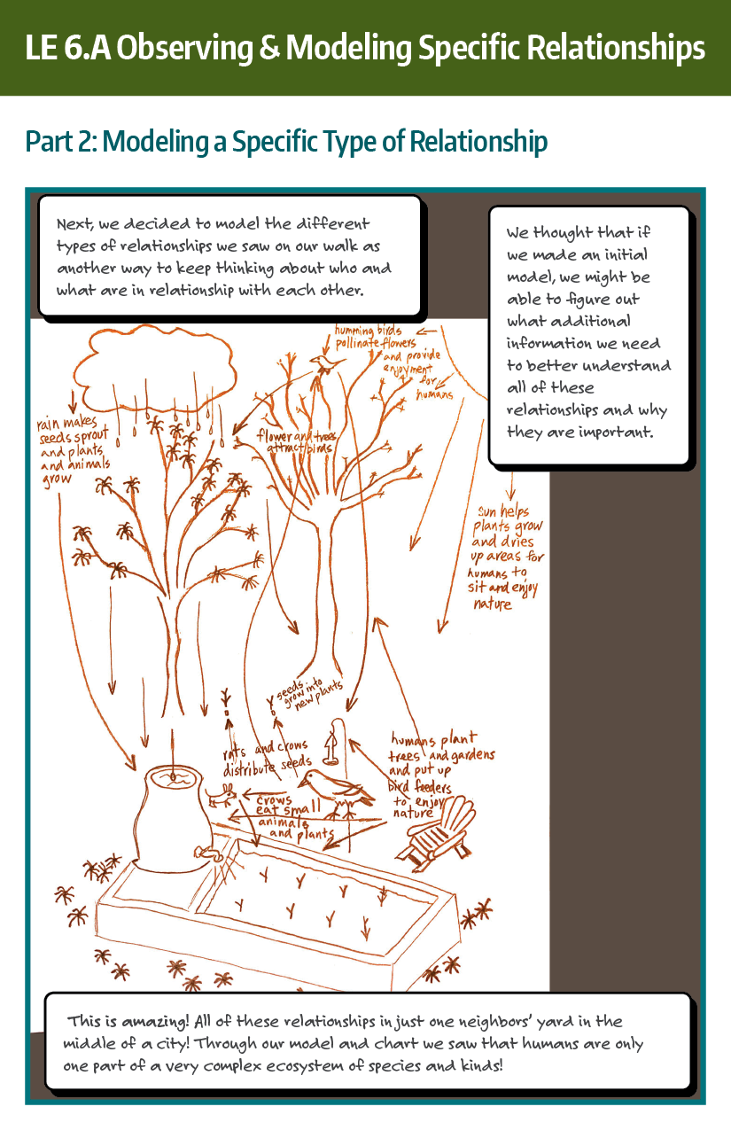 Family Storyline Example LE 6.B