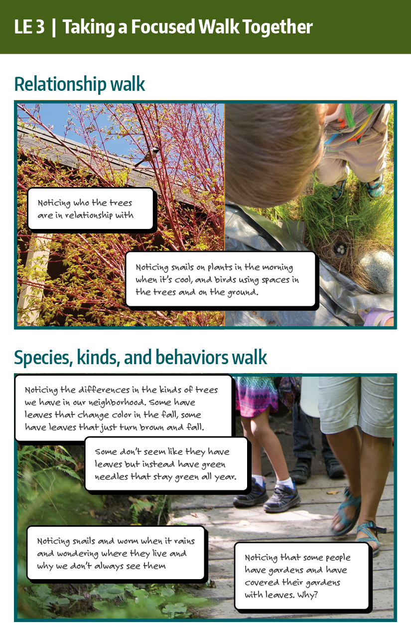 Example relationship walk and species, kinds, and behaviors walk