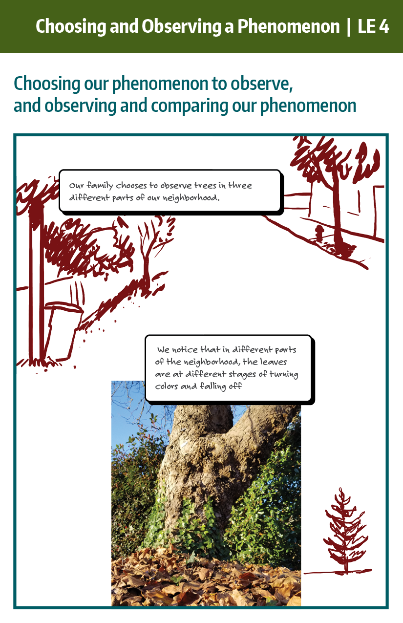 LE 4 example: Choosing our phenomenon to observe, then observing and comparing our phenomenon