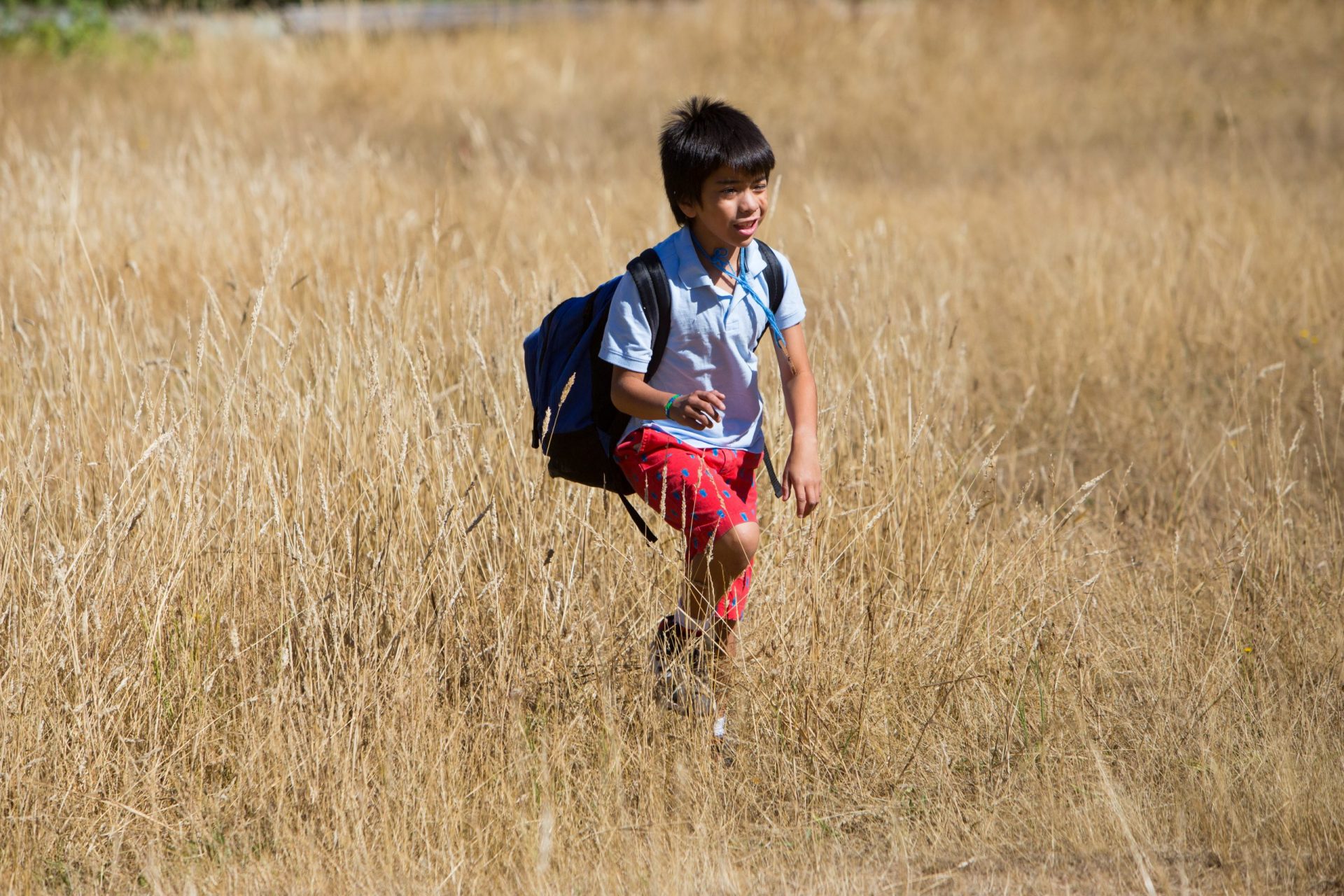Child walking through a field in the sun