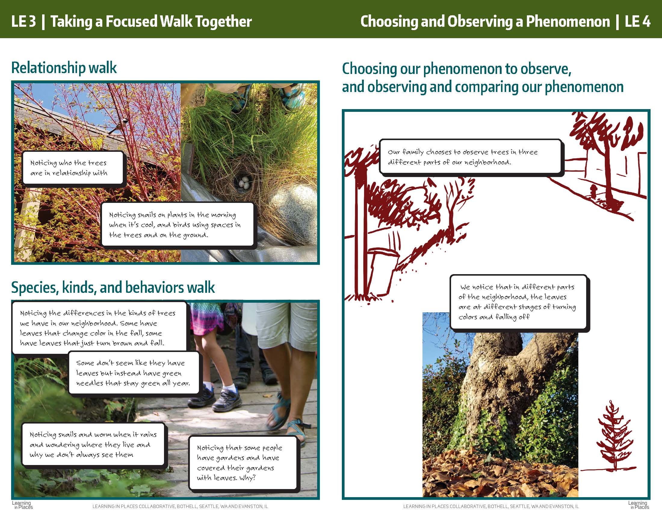 family-storyline-example-learning-in-places