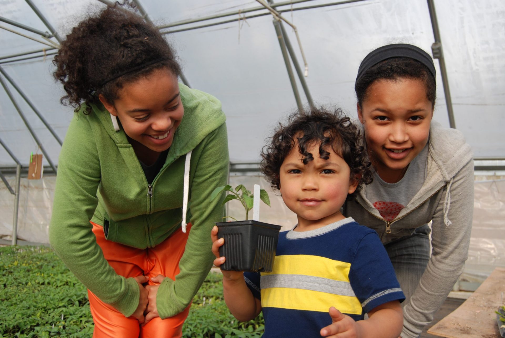 Children in a greenhouse